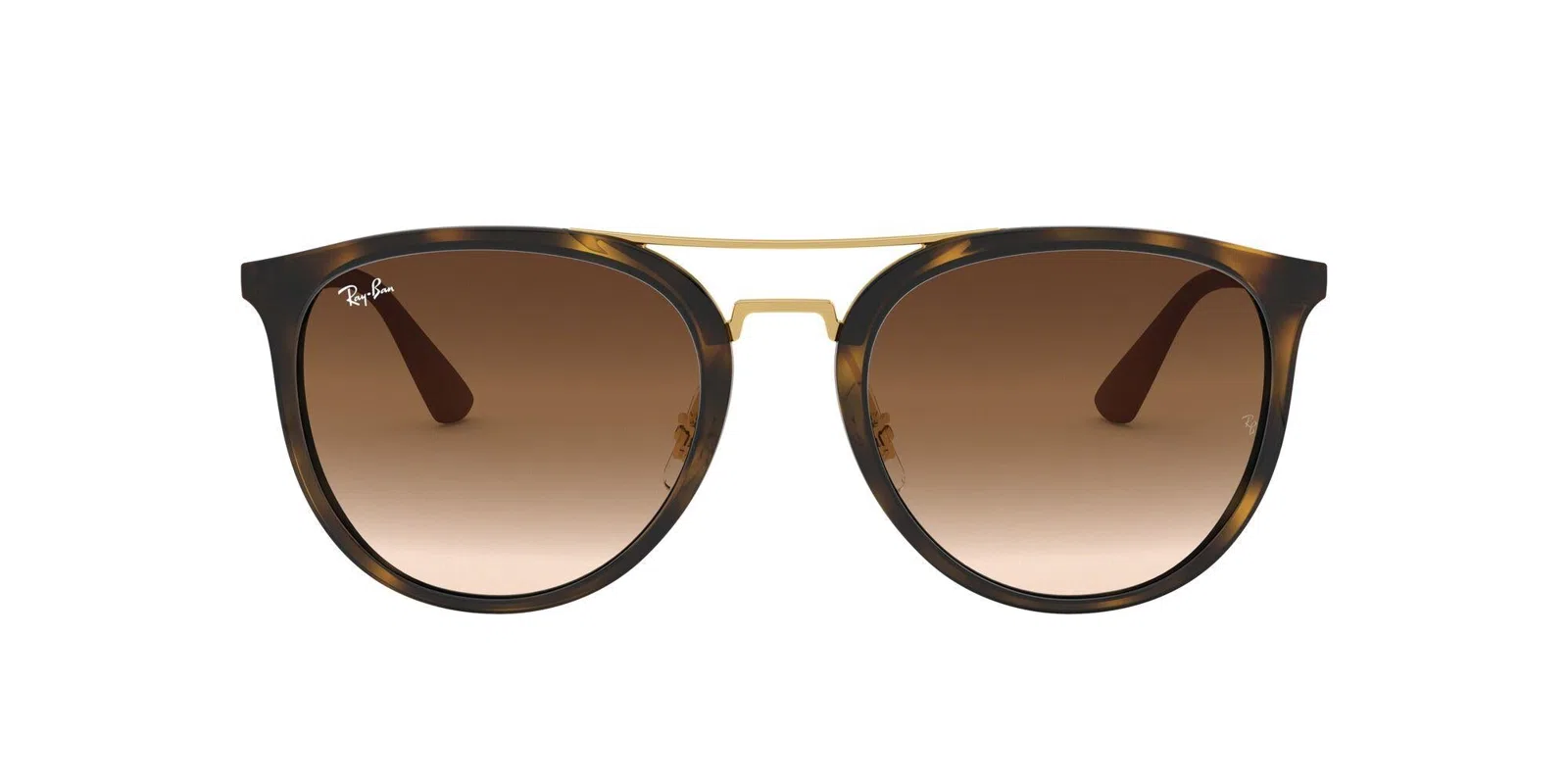 Ray-Ban 4285 Sunglasses - view 15